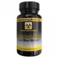 /products/methdrol/